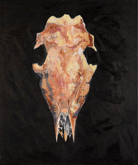 Oil painting of an armadillo skull found in Redwood Valley set against a black background